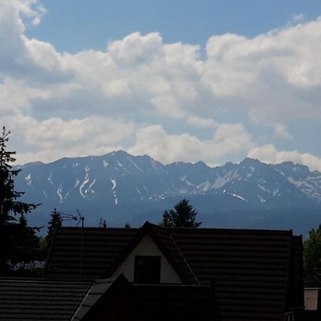 Pod Tatarska Gora Apartment Bialy Dunajec Luaran gambar