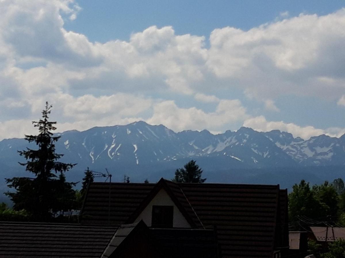 Pod Tatarska Gora Apartment Bialy Dunajec Luaran gambar
