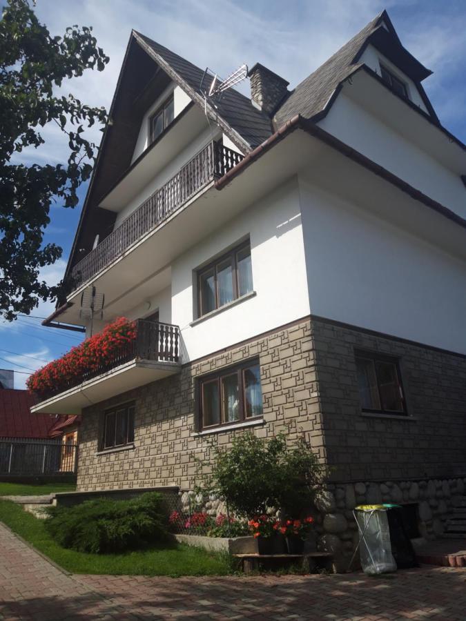 Pod Tatarska Gora Apartment Bialy Dunajec Luaran gambar