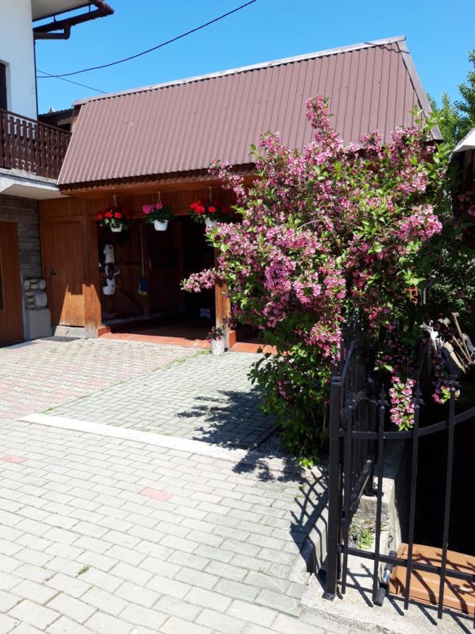 Pod Tatarska Gora Apartment Bialy Dunajec Luaran gambar